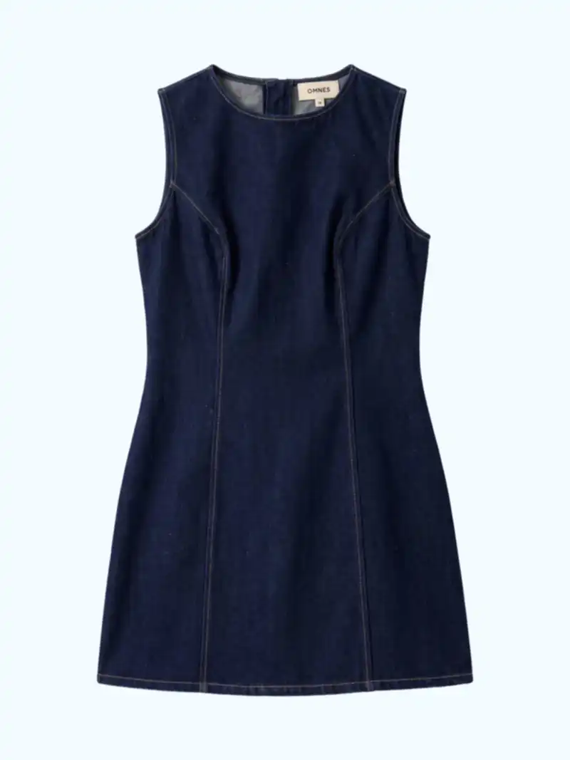 Jones Dress in Denim