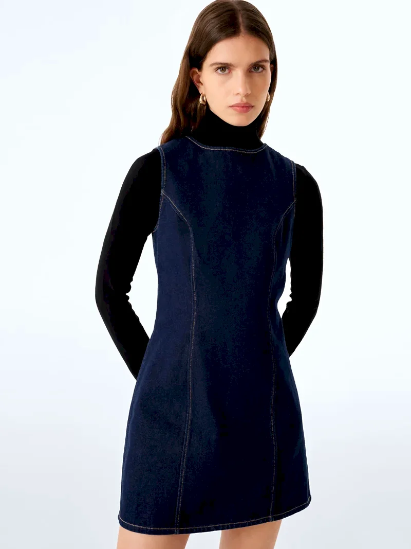Jones Dress in Denim