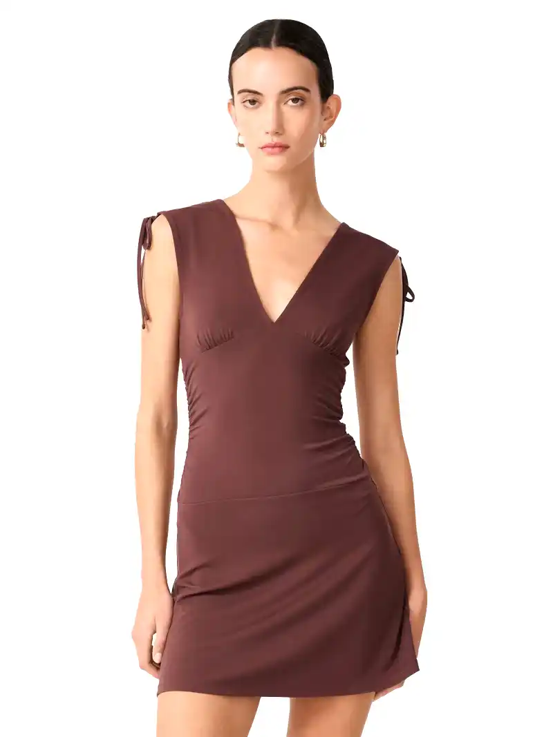 Zaneta Dress in Brown